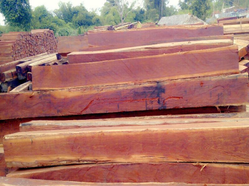 Gỗ căm xe thuộc nhóm mấy