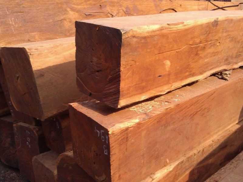 gỗ căm xe thuộc nhóm mấy