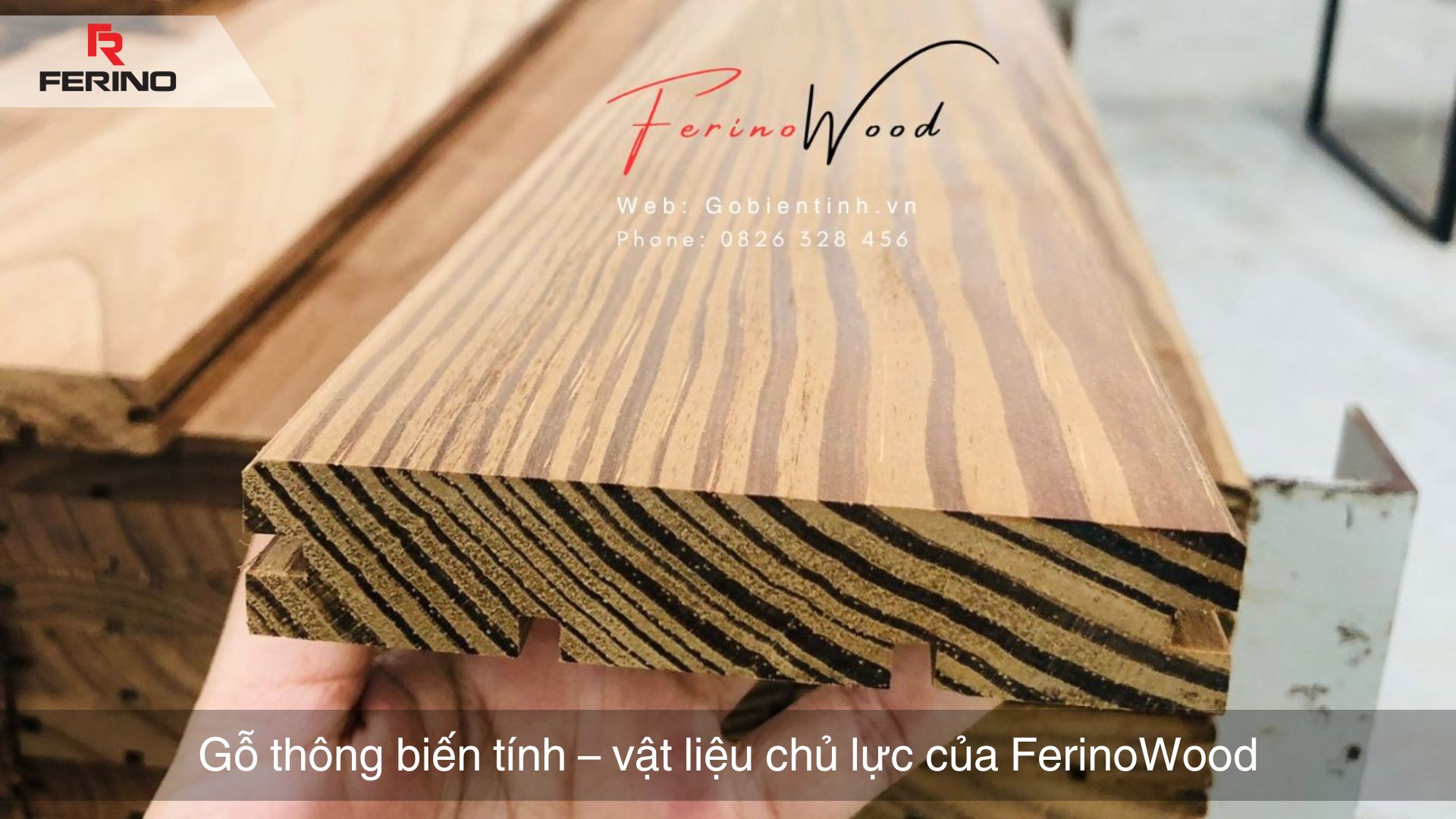 Gỗ thông biến tính FerinoWood