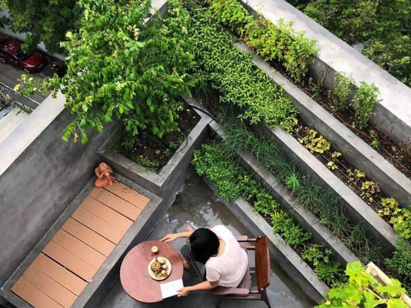 vườn trên sân thượng nhà ống