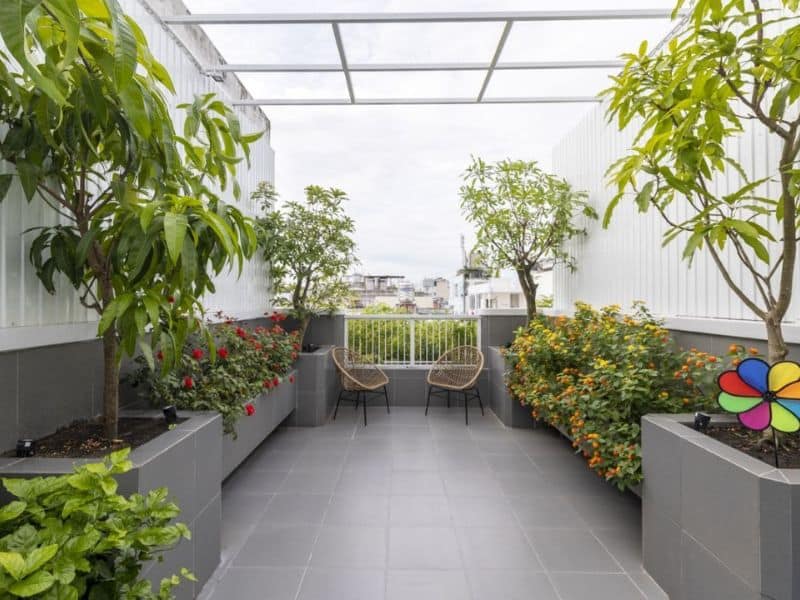 vườn trên sân thượng nhà ống