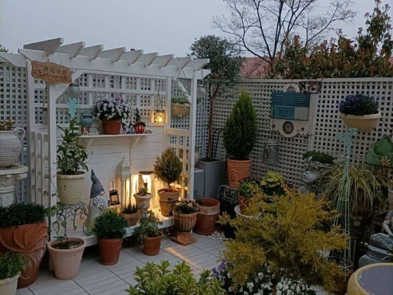 vườn trên sân thượng nhà ống