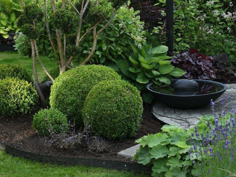 Ý tưởng trang trí sân vườn độc đáo