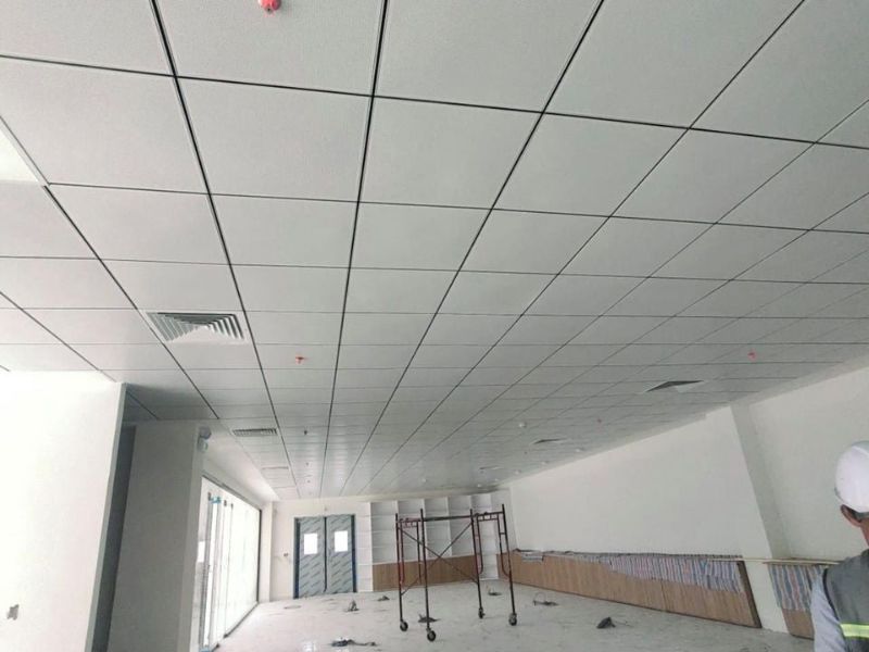 trần thả là gì