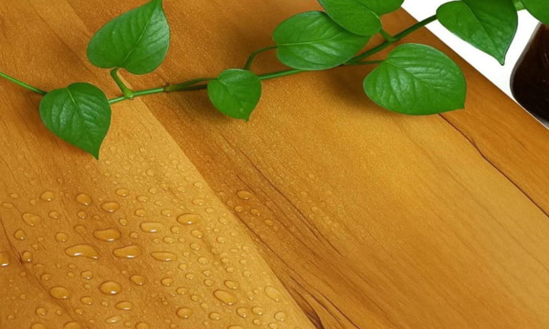 Sàn nhựa giả gỗ có bị nồm không