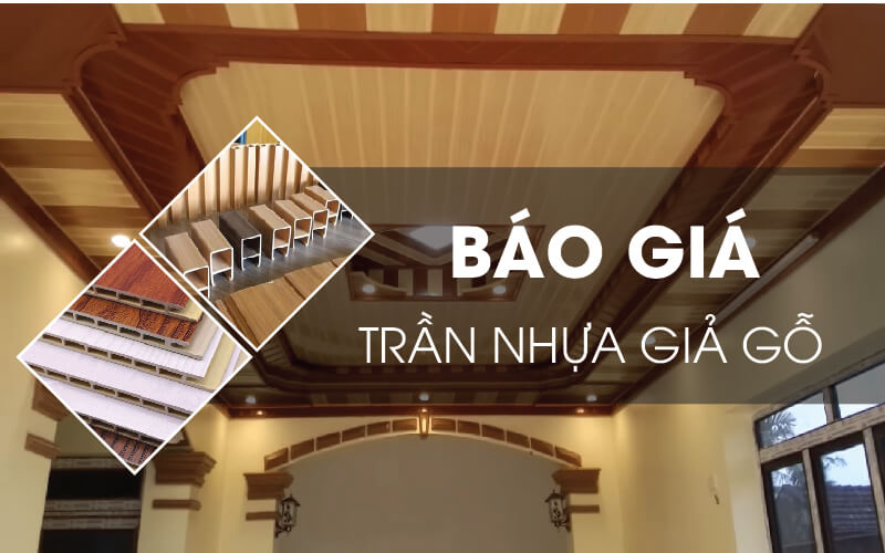 Mẫu trần Nano phòng khách